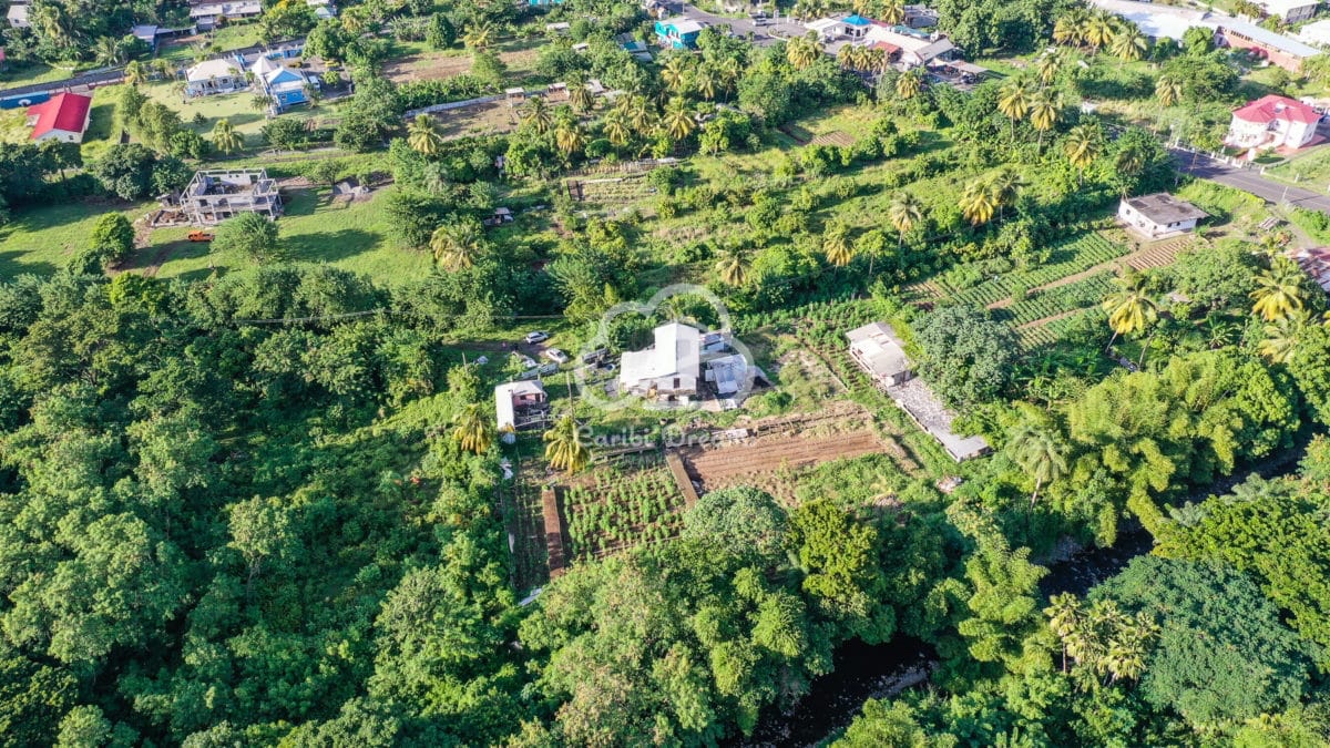 Development lot in Cane Grove