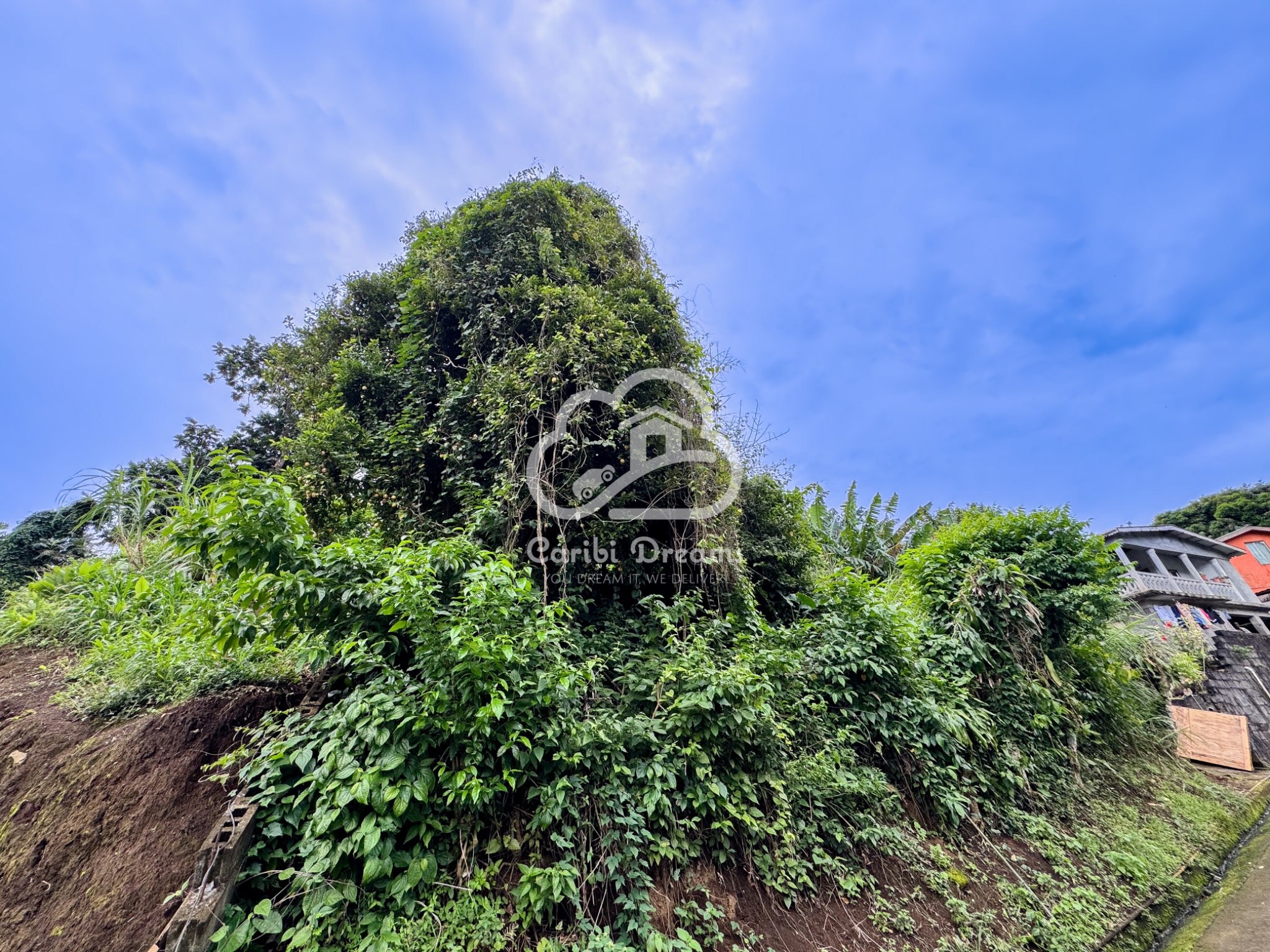 Affordable lot in Mesopotamia